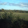 Photo 8: Window view 