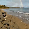 Photo 9: Local beach