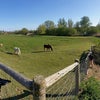 Photo 2: Where I grew up