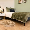 Photo 6: Room 2 + en-suite