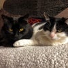 Photo 4: Giles and Gladys