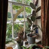 Photo 9: Bautiful garden