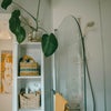 Photo 6: Bathroom