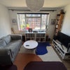 Photo 4: Living room