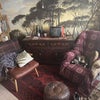 Photo 8: living room view 1 (& cat)