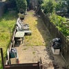 Photo 7: Lawn/garden