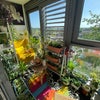 Photo 2: Garden/Balcony