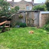 Photo 7: Garden