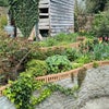 Photo 9: Garden