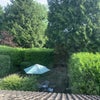Photo 3: View of back garden