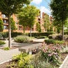 Photo 7: Gardens