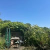 Photo 9: Our suntrap garden!