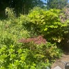 Photo 8: Garden 