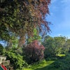 Photo 9: Private communal garden