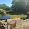 Photo 4: Garden