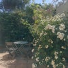 Photo 7: Garden