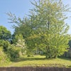 Photo 2: Garden space 
