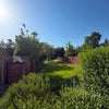 Photo 9: Garden 