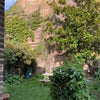 Photo 2: Large private  garden 