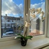 Photo 6: Room 5- £635 Available Now