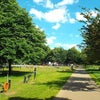 Photo 14: Multiple parks in the vicinity