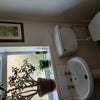 Photo 6: Downstairs toilet/washing machine
