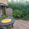 Photo 9: Garden