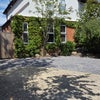 Photo 5: Driveway