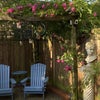 Photo 4: Pergola