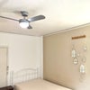 Photo 4: Celing fan