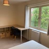 Photo 5: Available Room
