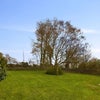 Photo 3: Rear Garden