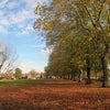 Photo 11: Winn's Common 7min walk from the house
