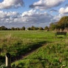 Photo 12: Plumstead Common 10min walk from the house