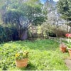 Photo 3: Gorgeous, massive garden