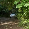Photo 2: I am interested in photography and cars