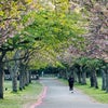 Photo 9: Battersea park