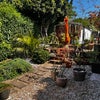 Photo 2: Back garden