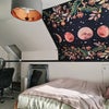 Photo 4: Bedroom