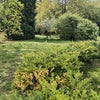 Photo 6: Garden