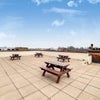 Photo 8: Roof Terrace