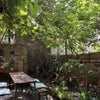 Photo 3: Garden