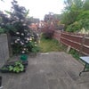 Photo 7: Garden