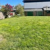 Photo 9: WELL MAINTAINED GARDEN