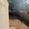 Photo 6: Garden 