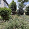 Photo 7: Private garden