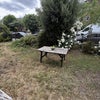 Photo 6: South-facing garden