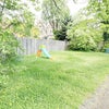 Photo 6: Garden