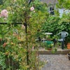 Photo 9: Patio Garden