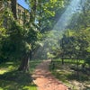 Photo 3: Path leading to the property